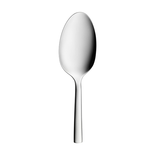 Dinner Spoons, 50 Pcs | Carton