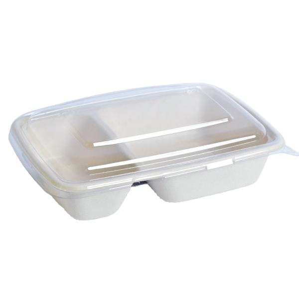 Disposable Sugarcane Plate 2 Comp with Plastic Lid, 500 Pcs | Carton