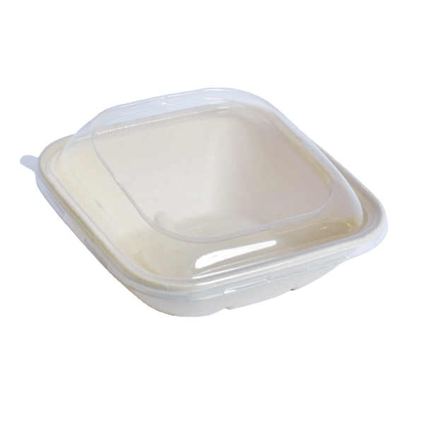 Disposable Sugarcane Plate with Plastic Lid, 400 Pcs | Carton