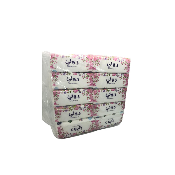 Rolly Face Tissue, 300 Sheets, 10 Nylon Boxes, 5 Pcs | Carton