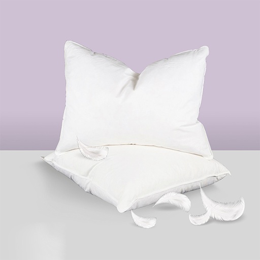 [SQ-060] Luxury Feather Sleeping Pillow 50*70